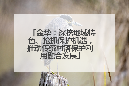 金华：深挖地域特色、抢抓保护机遇，推动传统村落保护利用融合发展
