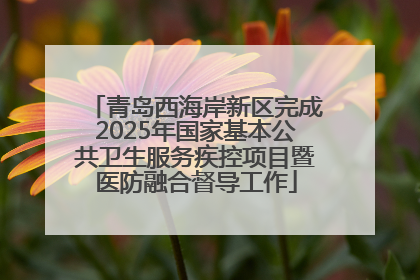 青岛西海岸新区完成2025年国家基本公共卫生服务疾控项目暨医防融合督导工作