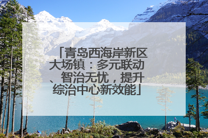 青岛西海岸新区大场镇：多元联动、智治无忧，提升综治中心新效能
