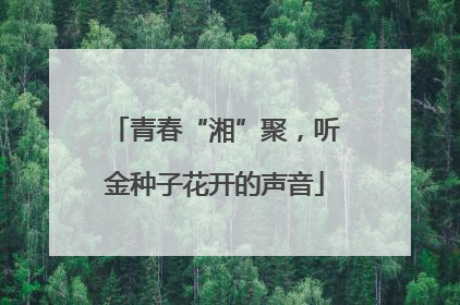 青春“湘”聚，听金种子花开的声音