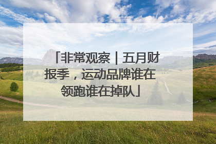非常观察｜五月财报季，运动品牌谁在领跑谁在掉队