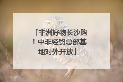 非洲好物长沙购！中非经贸总部基地对外开放