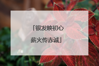 银发映初心 薪火传赤诚