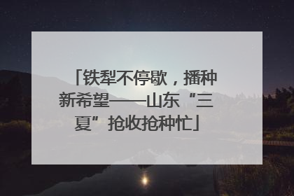 铁犁不停歇，播种新希望——山东“三夏”抢收抢种忙