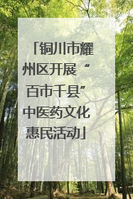 铜川市耀州区开展“百市千县”中医药文化惠民活动