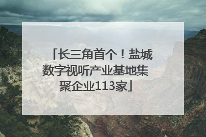 长三角首个！盐城数字视听产业基地集聚企业113家