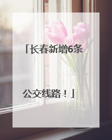 长春新增6条公交线路！