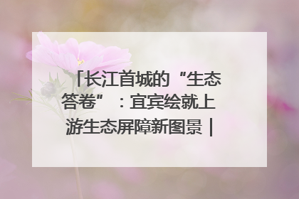 长江首城的“生态答卷”：宜宾绘就上游生态屏障新图景｜中华环保世纪行
