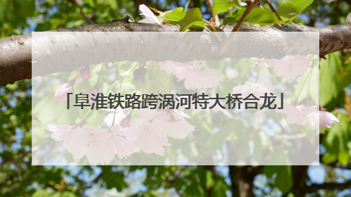 阜淮铁路跨涡河特大桥合龙