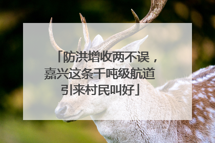 防洪增收两不误，嘉兴这条千吨级航道引来村民叫好