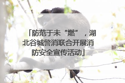 防范于未“燃”，湖北谷城警消联合开展消防安全宣传活动