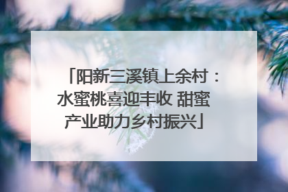 阳新三溪镇上余村：水蜜桃喜迎丰收 甜蜜产业助力乡村振兴