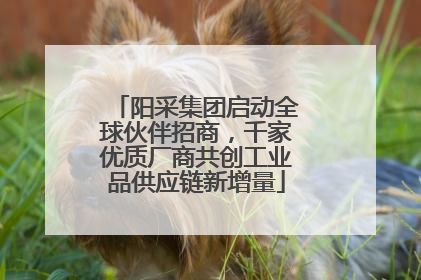 阳采集团启动全球伙伴招商，千家优质厂商共创工业品供应链新增量