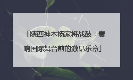 陕西神木杨家将战鼓：奏响国际舞台前的激昂乐章