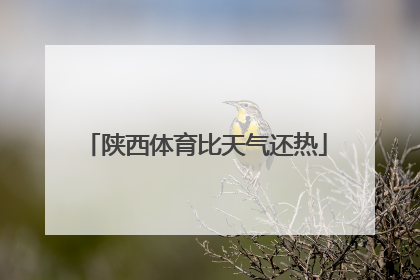 陕西体育比天气还热