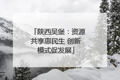 陕西吴堡：资源共享惠民生 创新模式促发展