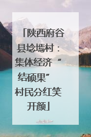 陕西府谷县埝墕村：集体经济“结硕果” 村民分红笑开颜