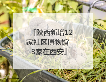 陕西新增12家社区博物馆 3家在西安