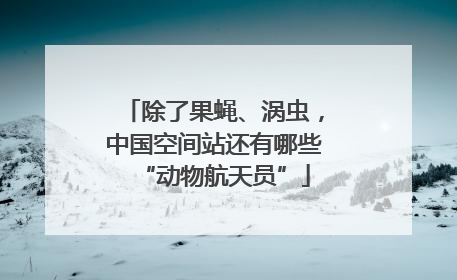 除了果蝇、涡虫，中国空间站还有哪些“动物航天员”