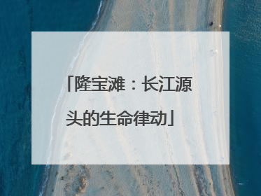 隆宝滩：长江源头的生命律动