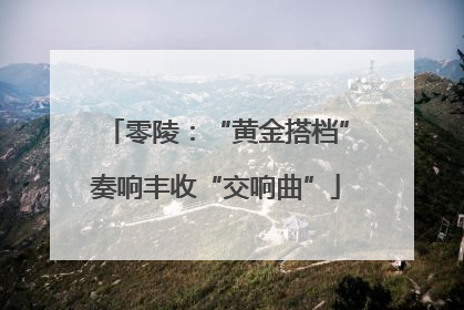 零陵：“黄金搭档”奏响丰收“交响曲”