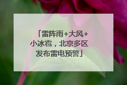 雷阵雨+大风+小冰雹，北京多区发布雷电预警