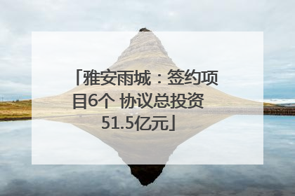 雅安雨城：签约项目6个 协议总投资51.5亿元