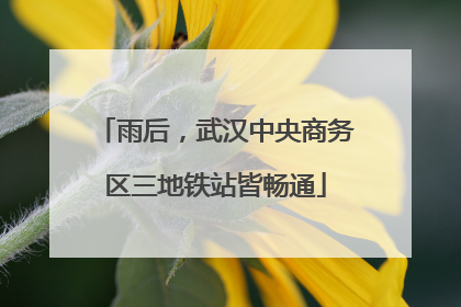 雨后，武汉中央商务区三地铁站皆畅通