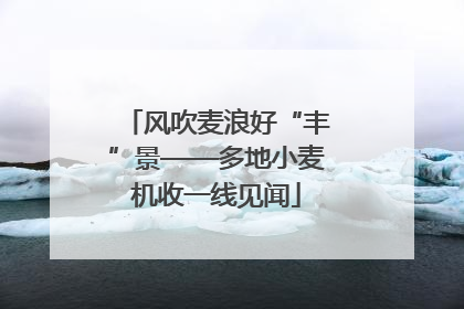 风吹麦浪好“丰”景——多地小麦机收一线见闻