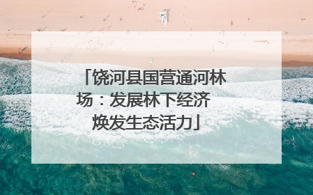 饶河县国营通河林场：发展林下经济 焕发生态活力