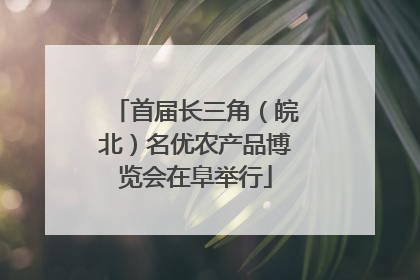 首届长三角（皖北）名优农产品博览会在阜举行