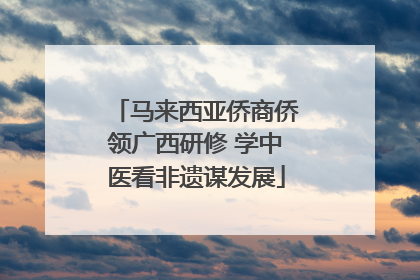 马来西亚侨商侨领广西研修 学中医看非遗谋发展