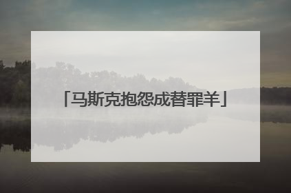 马斯克抱怨成替罪羊
