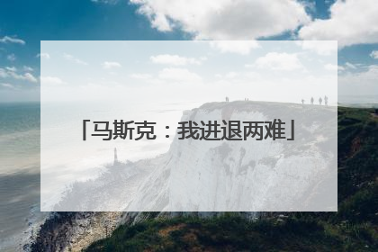 马斯克：我进退两难