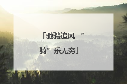 驰骋追风 “骑”乐无穷