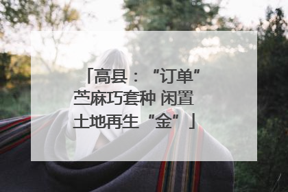 高县：“订单”苎麻巧套种 闲置土地再生“金”