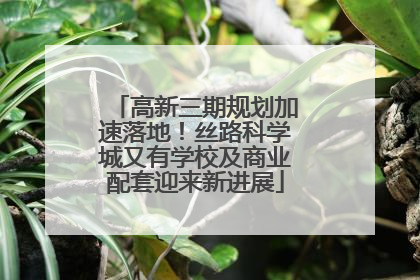 高新三期规划加速落地！丝路科学城又有学校及商业配套迎来新进展