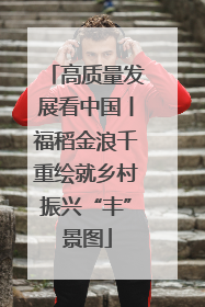 高质量发展看中国丨福稻金浪千重绘就乡村振兴“丰”景图