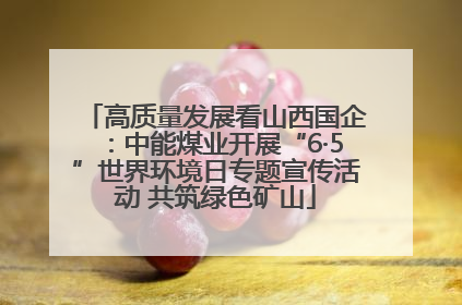 高质量发展看山西国企：中能煤业开展“6·5”世界环境日专题宣传活动 共筑绿色矿山