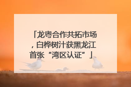 龙粤合作共拓市场，白桦树汁获黑龙江首张“湾区认证”