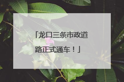 龙口三条市政道路正式通车！