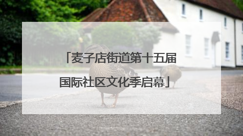 麦子店街道第十五届国际社区文化季启幕