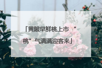 黄陂早鲜桃上市 “桃”气满满迎客来