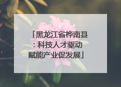 黑龙江省桦南县：科技人才驱动 赋能产业促发展