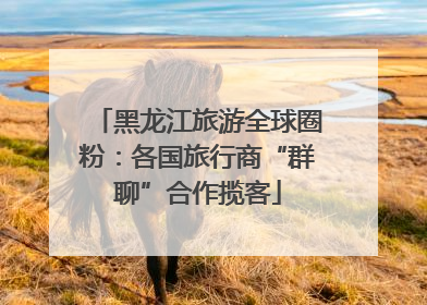 黑龙江旅游全球圈粉：各国旅行商“群聊”合作揽客