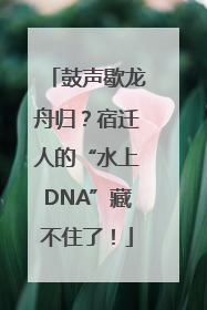 鼓声歇龙舟归？宿迁人的“水上DNA”藏不住了！