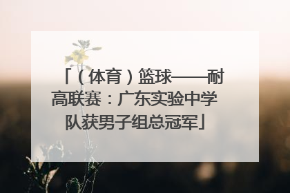 （体育）篮球——耐高联赛：广东实验中学队获男子组总冠军