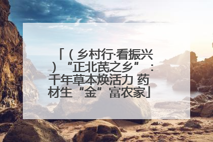（乡村行·看振兴）“正北芪之乡”：千年草本焕活力 药材生“金”富农家