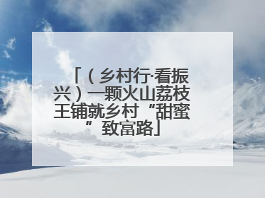 （乡村行·看振兴）一颗火山荔枝王铺就乡村“甜蜜”致富路