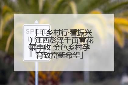 （乡村行·看振兴）江西彭泽千亩黄花菜丰收 金色乡村孕育致富新希望